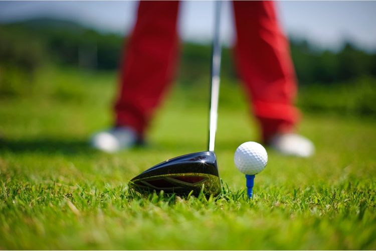 Willows Run Golf Complex